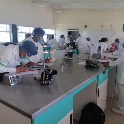 Laboratorio de bromatología